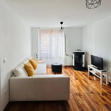 Silvela Dos Amigos Apartment Cangas De Narcea