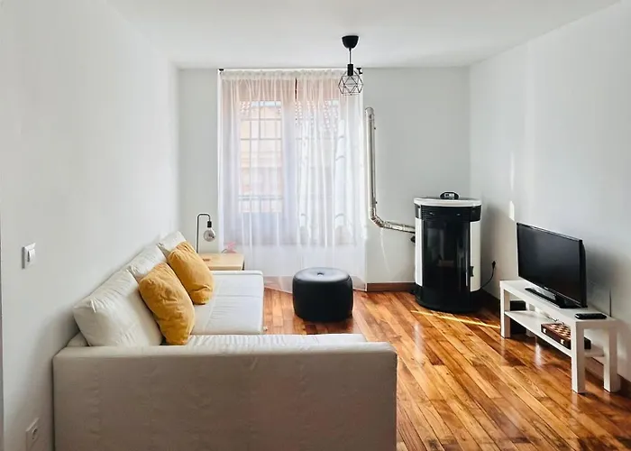 Silvela Dos Amigos Apartment Cangas De Narcea